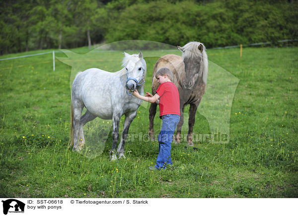 Junge und Ponys / boy with ponys / SST-06618
