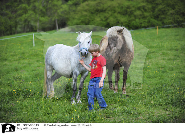 boy with ponys / SST-06619