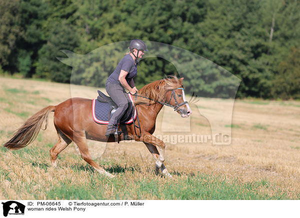 woman rides Welsh Pony / PM-06645