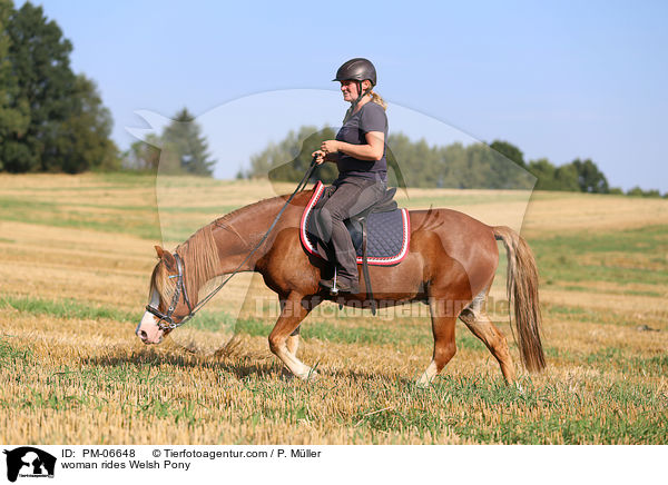 Frau reitet Welsh Pony / woman rides Welsh Pony / PM-06648