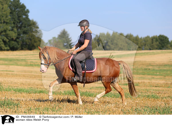 woman rides Welsh Pony / PM-06649