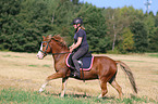 woman rides Welsh Pony