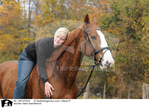 Frau reitet Westfale / woman rides warmblood / AP-07534