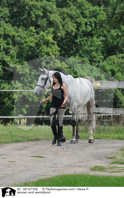 woman and warmblood / AP-07709