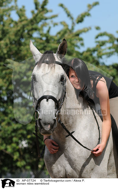 Frau reitet Westfale / woman rides warmblood / AP-07724