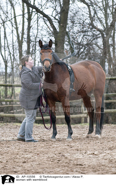 Frau mit Westfale / woman with warmblood / AP-10556