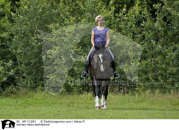 Frau reitet Westfale / woman rides warmblood / AP-11281