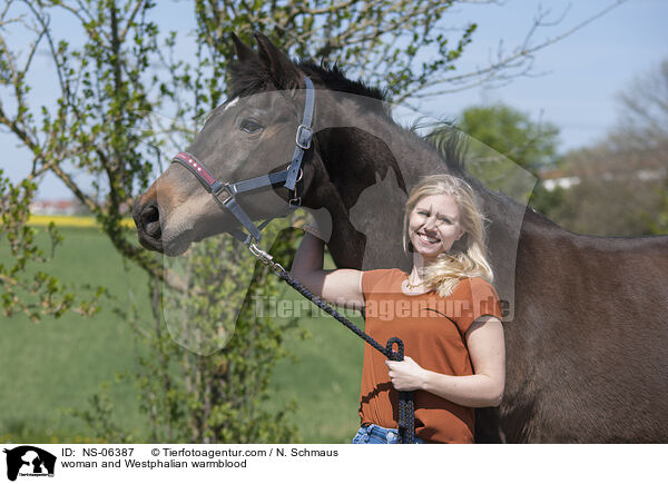 Frau und Westfale / woman and Westphalian warmblood / NS-06387