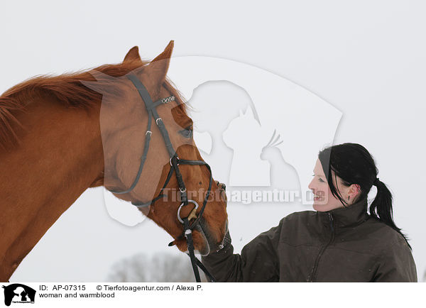 Frau und Zangersheider Sportpferd / woman and warmblood / AP-07315