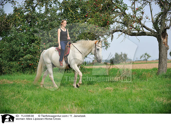 Frau reitet Lipizzaner-Mix / woman rides Lipizzan-Horse-Cross / YJ-09638