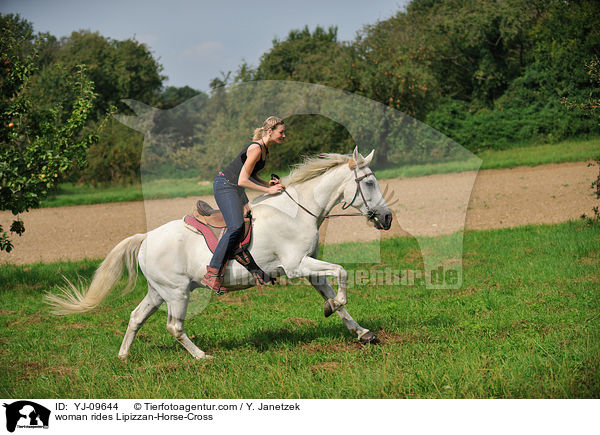 Frau reitet Lipizzaner-Mix / woman rides Lipizzan-Horse-Cross / YJ-09644