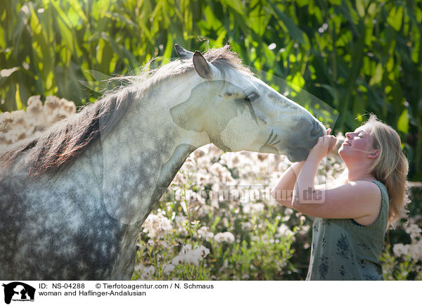 Frau und Haflinger-Andalusier / woman and Haflinger-Andalusian / NS-04288