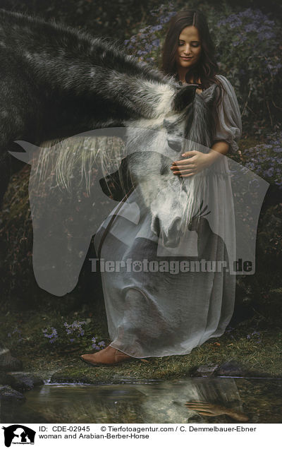 Frau und Araber-Berber / woman and Arabian-Berber-Horse / CDE-02945