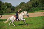 woman rides Lipizzan-Horse-Cross