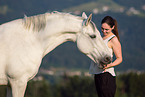 Frisian-Horse-Cross