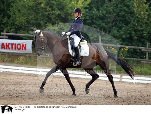 Dressurreiten / dressage / NS-01638