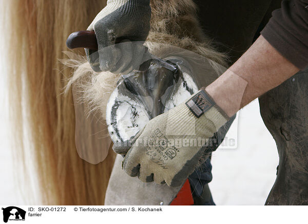 Hufschmied / farrier / SKO-01272