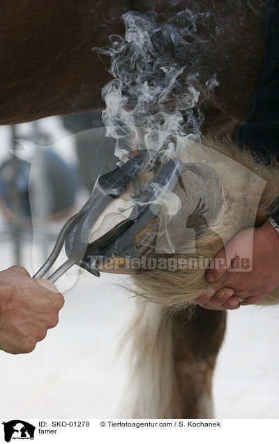 Hufschmied / farrier / SKO-01278