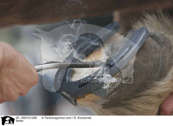 Hufschmied / farrier / SKO-01280