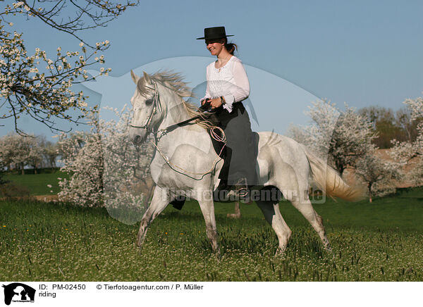 Gangpferdereiten / riding / PM-02450