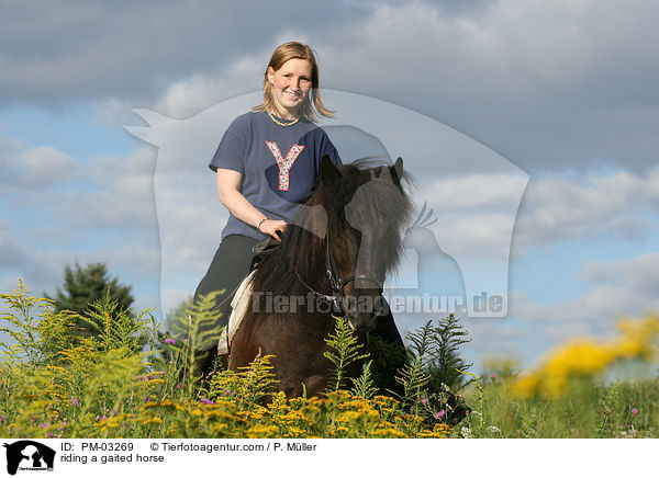 Gangpferdereiten / riding a gaited horse / PM-03269