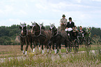 bridal carriage