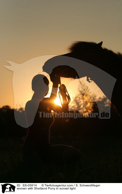 Frau mit Shetland Pony im Abendlicht / woman with Shetland Pony in sunset light / SS-05614