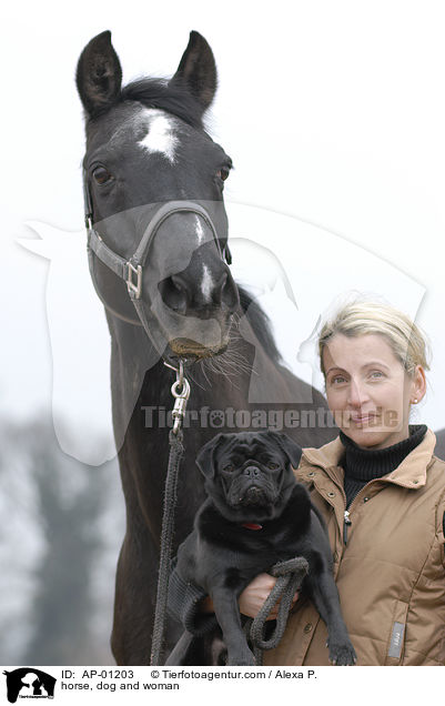 horse, dog and woman / AP-01203