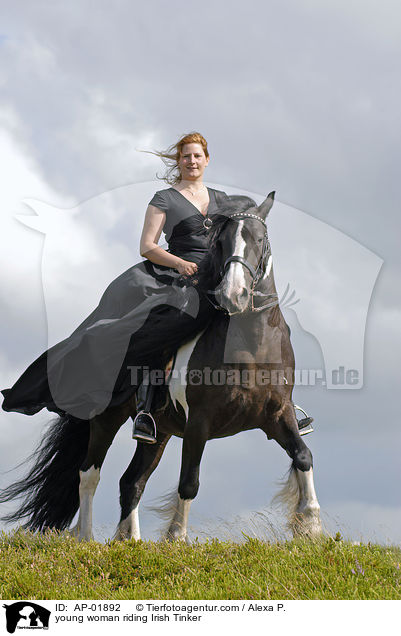 young woman riding Irish Tinker / AP-01892