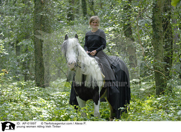 young woman riding Irish Tinker / AP-01897