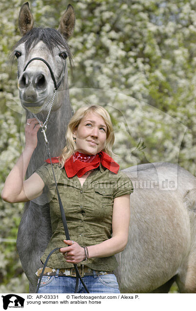 junge Frau mit Araber / young woman with arabian horse / AP-03331