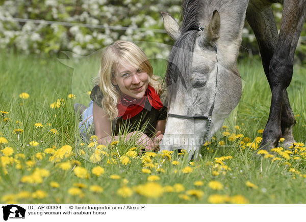 junge Frau mit Araber / young woman with arabian horse / AP-03334