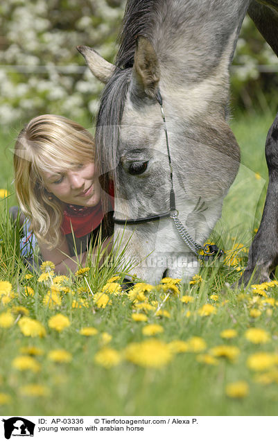 junge Frau mit Araber / young woman with arabian horse / AP-03336