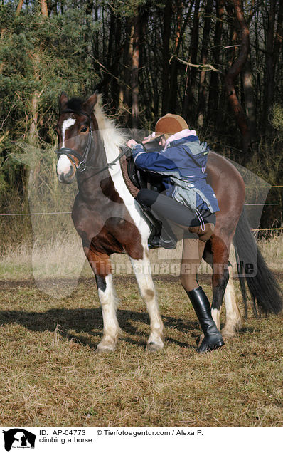 Aufsteigen / climbing a horse / AP-04773