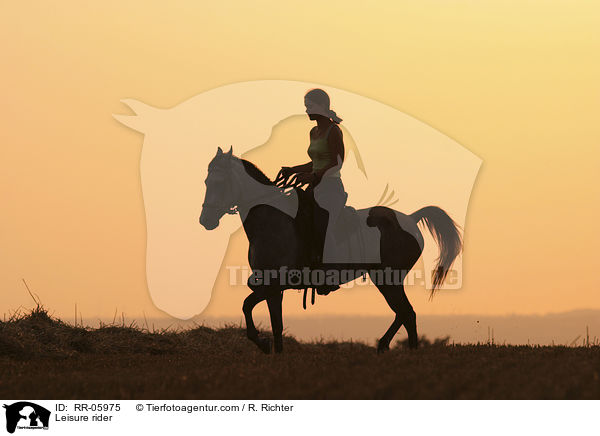 Reiter im Sonnenuntergang / Leisure rider / RR-05975