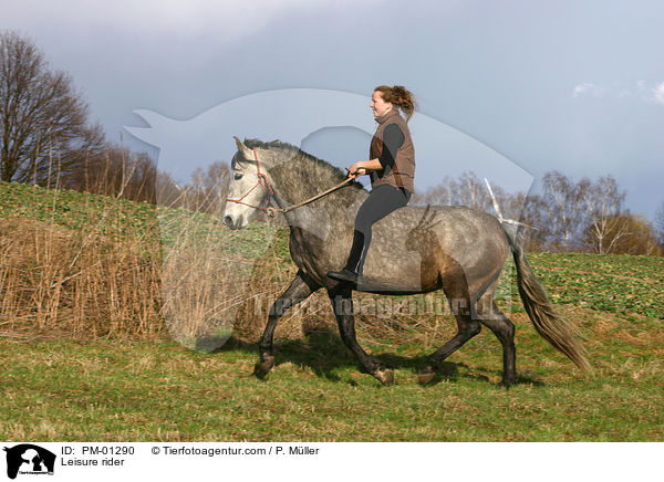 Pferd und Reiter auf Ausritt / Leisure rider / PM-01290
