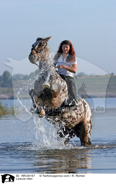 Pferd steigt auf Kommando / Leisure rider / RR-08167