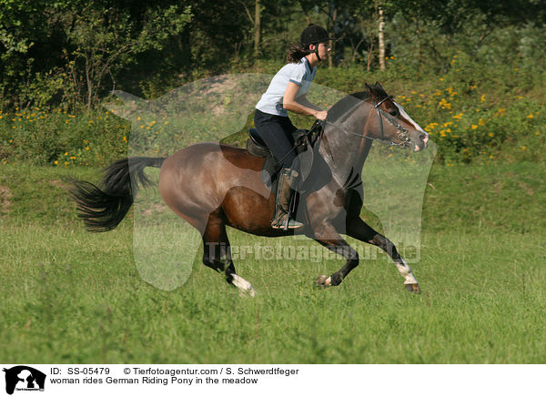 woman rides German Riding Pony in the meadow / SS-05479