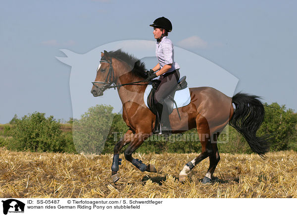 Frau galoppiert mit Deutschem Reitpony / woman rides pony on stubblefield / SS-05487