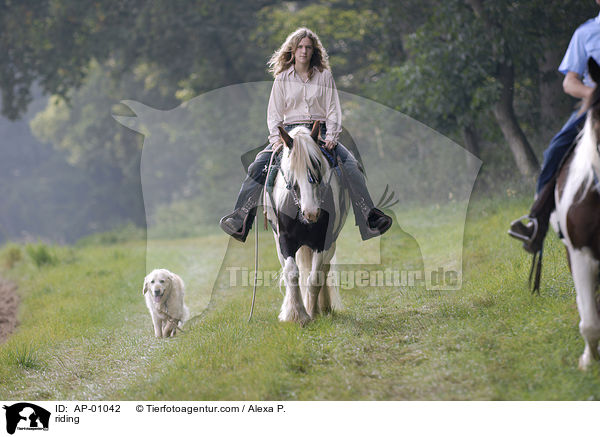 Freizeitreiten / riding / AP-01042