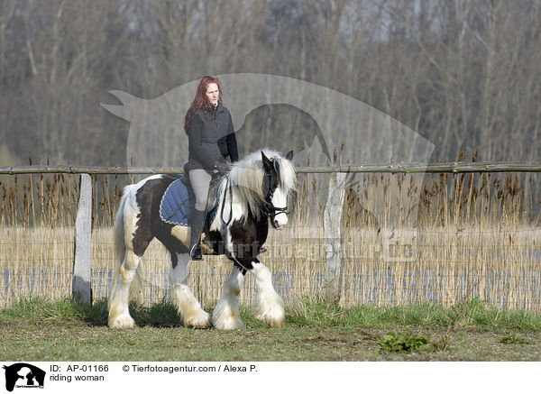 Freizeitreiten / riding woman / AP-01166