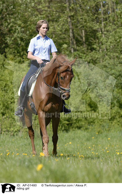 Freizeitreiten / riding girl / AP-01480