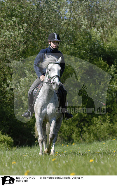 Freizeitreiten / riding girl / AP-01499