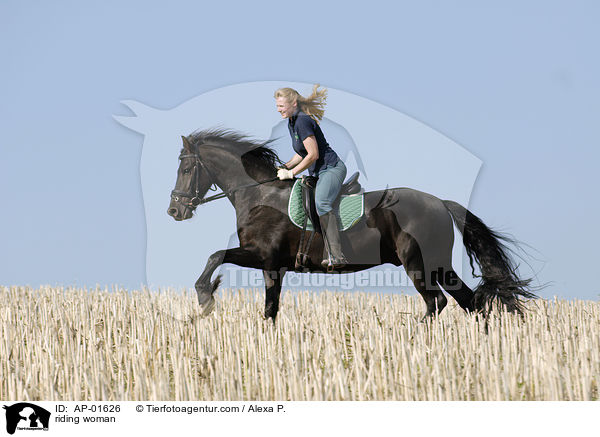 Ausritt ber ein Stoppelfeld / riding woman / AP-01626