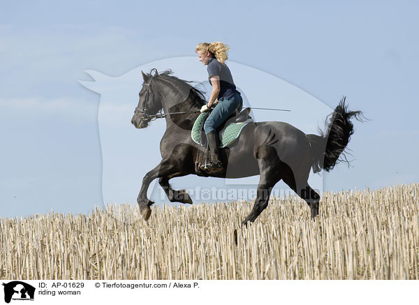 Ausritt ber ein Stoppelfeld / riding woman / AP-01629