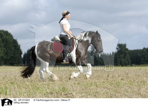 Frau galoppiert mit Pferd ber Weise / riding woman / AP-01824
