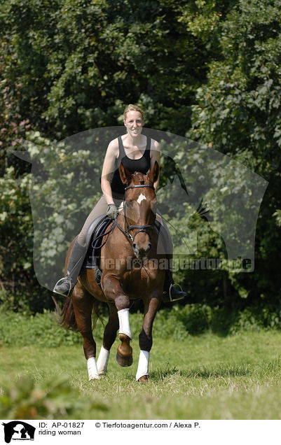 Freizeitreiten / riding woman / AP-01827