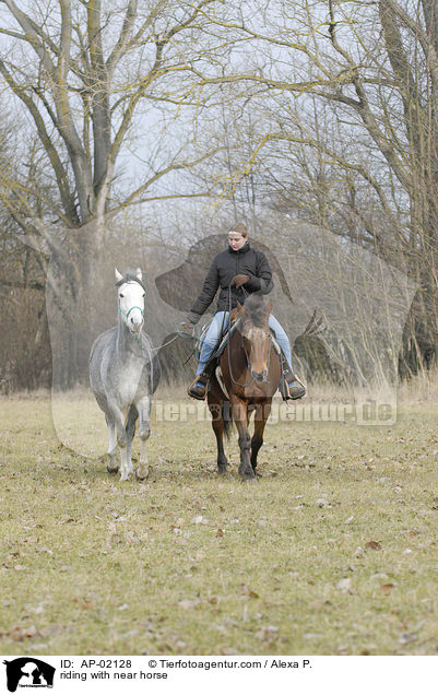 reiten mit Handpferd / riding with near horse / AP-02128