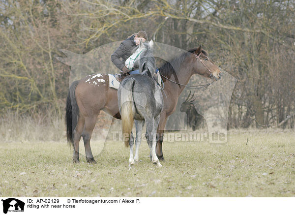 reiten mit Handpferd / riding with near horse / AP-02129