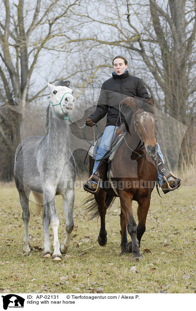 reiten mit Handpferd / riding with near horse / AP-02131